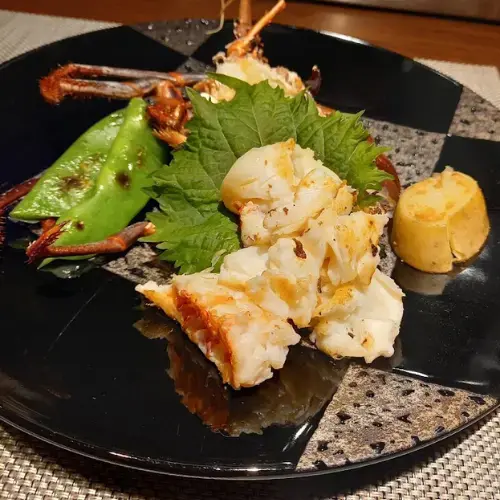 Koube Plaisir-1b.webp