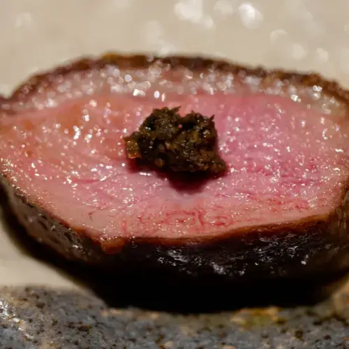 Torisho Ishii-1c.webp