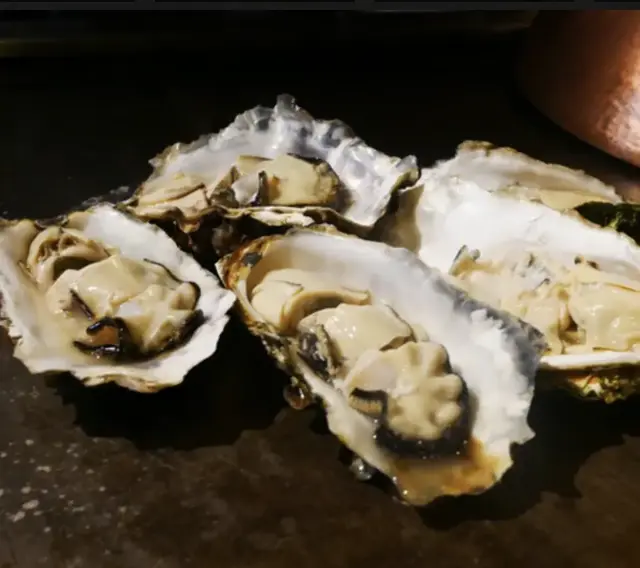 Gata Gata Ya-1b.webp