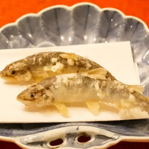 Tempura Fukamachi-1c.webp