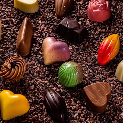 Chocolate Shop-1a.webp