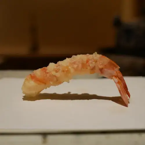 Tempura Motoyoshi-1a.webp
