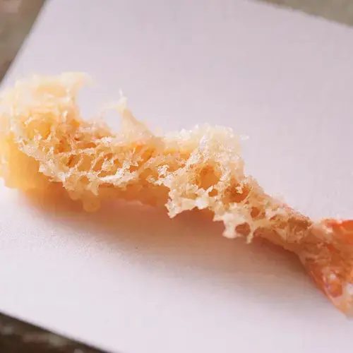 Tempura Asanuma-1a.webp