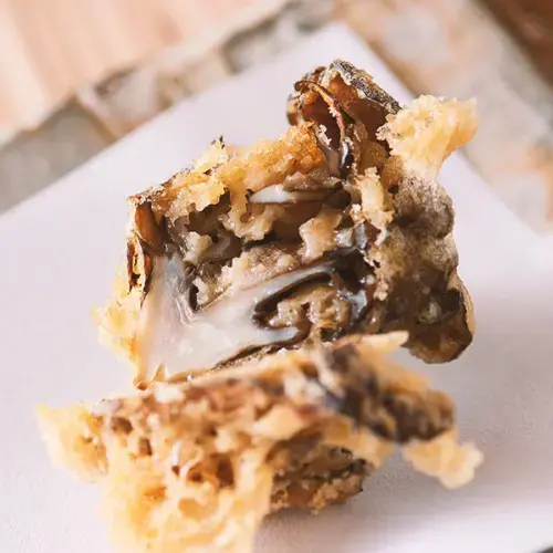 Tempura Asanuma-1d.webp