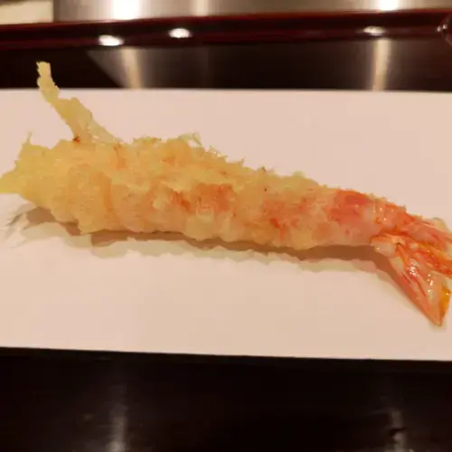 Tempura Takeuchi-1a.webp