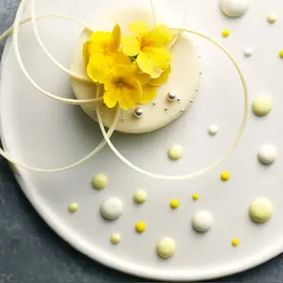 Azur Et Masa Ueki-1d.webp