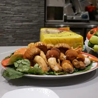 Anu Shohei Shimono-1b.webp