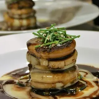 Tréffe Miyamoto-1a.webp