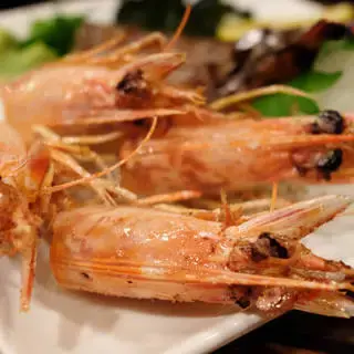 Shirokimoto Macchan's Shop-1a.webp