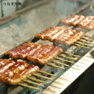 Unagi Kawasei-1c.webp
