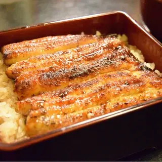 Unagi Hashimoto-1a.webp