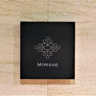 Mimosa-logo.webp