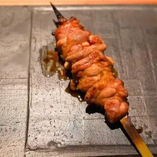 Tori Chataro-1a.webp