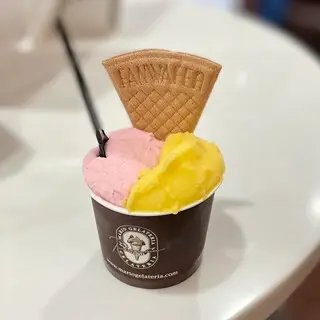 Premium Mario Gelateria Shinjuku Isetan-1b.webp