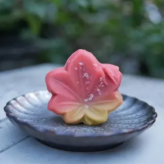 Gyokueidou Hikokuro-1b.webp