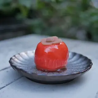 Gyokueidou Hikokuro-1c.webp