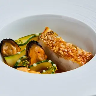 Plaiga Tokyo-1a.webp