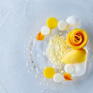 Plaiga Tokyo-1c.webp