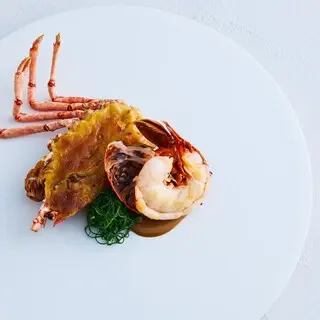 Plaiga Tokyo-1d.webp