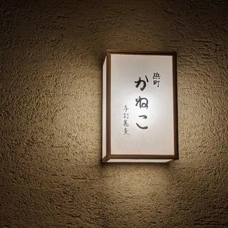 Hamacho Kaneko-logo.webp