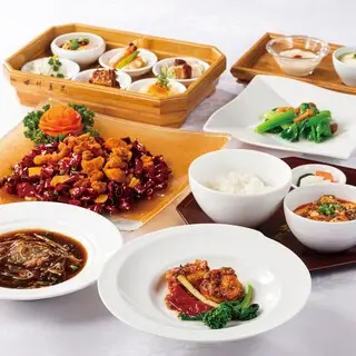 Sichuan Dou Ha-1a.webp