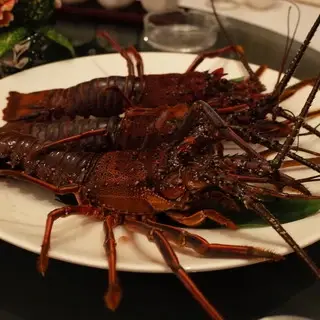 [Chinese] Tsukushirou-1d.webp