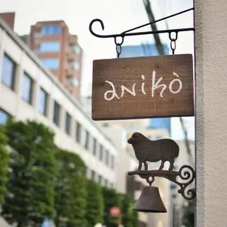 Aniko-logo.webp