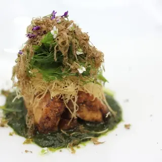 Furuya Augastronome-1c.webp