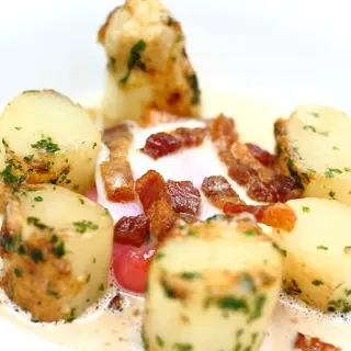 Furuya Augastronome-1d.webp