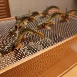 Ryotei Asada-1c.webp