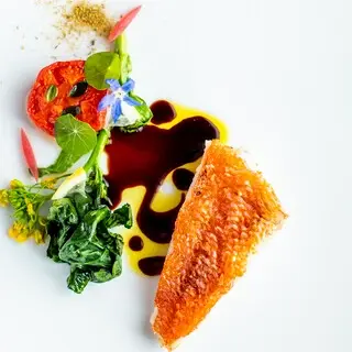 éLan Ryoma Shida-1b.webp