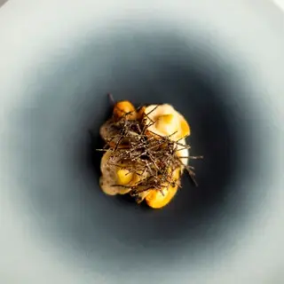 éLan Ryoma Shida-1d.webp