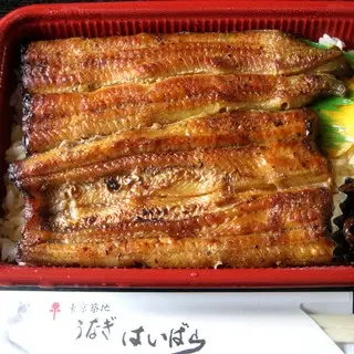 Haibara Unagi Tsukiji No. 1-1d.webp