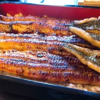 Kanda Kikukawa-1a.webp