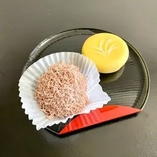 Echigoya Wakasa-1a.webp