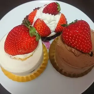 Kaori Hirone-1d.webp