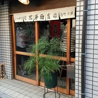 Miyazawa Shoten-logo.webp