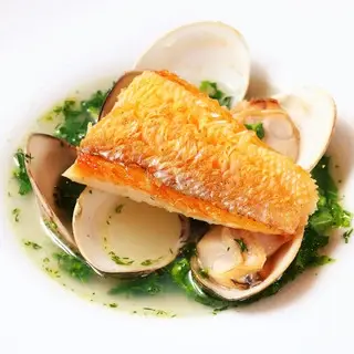 Bistro Topology-1a.webp