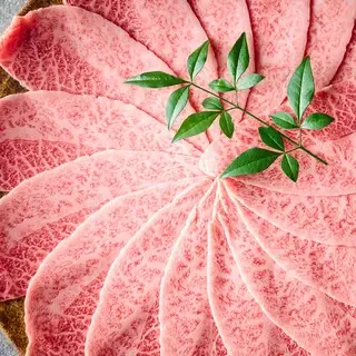 Onique Tokyo-1a.webp