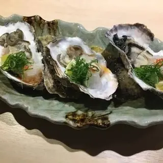 Shunsai Imari-1c.webp