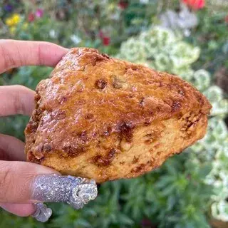 Glitch Coffee & Roasters-1c.webp