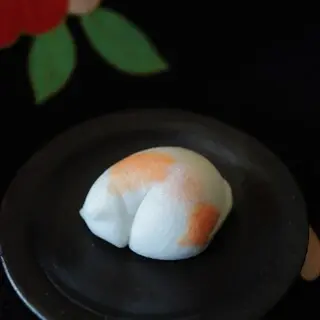 Kameya Yoshinaga-1b.webp