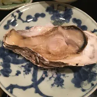 Sottaku Tsukamoto-1c.webp