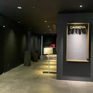 Cainoya-logo.webp