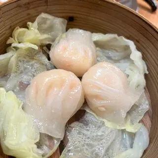 Tengu - Tokiwa-1d.webp