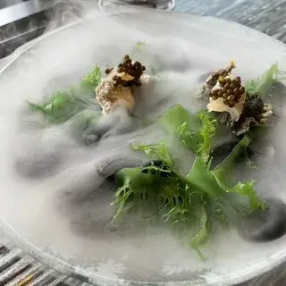 Muni Alain Ducasse-1d.webp