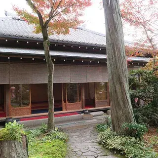 Visitor's Teahouse-logo.webp