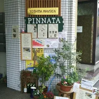Pinnata-logo.webp