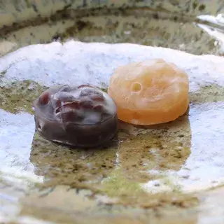 Housendo Honten-1b.webp