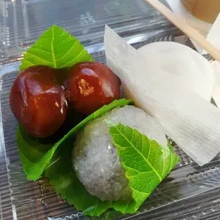 Toji Mochi-1c.webp